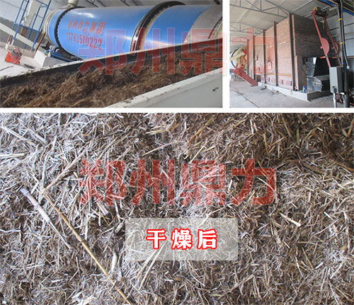 內(nèi)蒙甜高粱秸稈烘干機試機現(xiàn)場